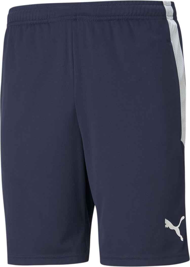 Puma Teamliga Trainingsshorts Herren Sporthose - Peacoat - Weiß