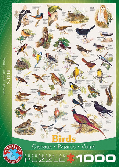 Eurographics - Vögel [Vögel] - 1000 Teile 48×68cm (B×H) – Puzzle