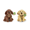 Plüsch Labrador Retriever 2 Arten 20cm e