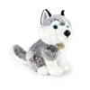 Umweltfreundliche Rappa-Serie – Plüsch-Husky-Kuscheltier – 30 cm – mit recycelter Kappe