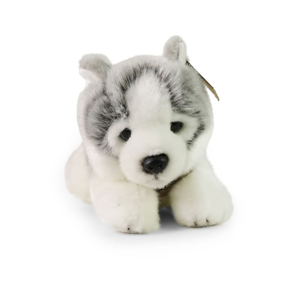 Plüschhusky 24 cm umweltfreundlich
