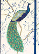 Peter Pauper kompaktes Notizbuch – Pfau – mit elastischem Verschluss – 13 x 18 cm