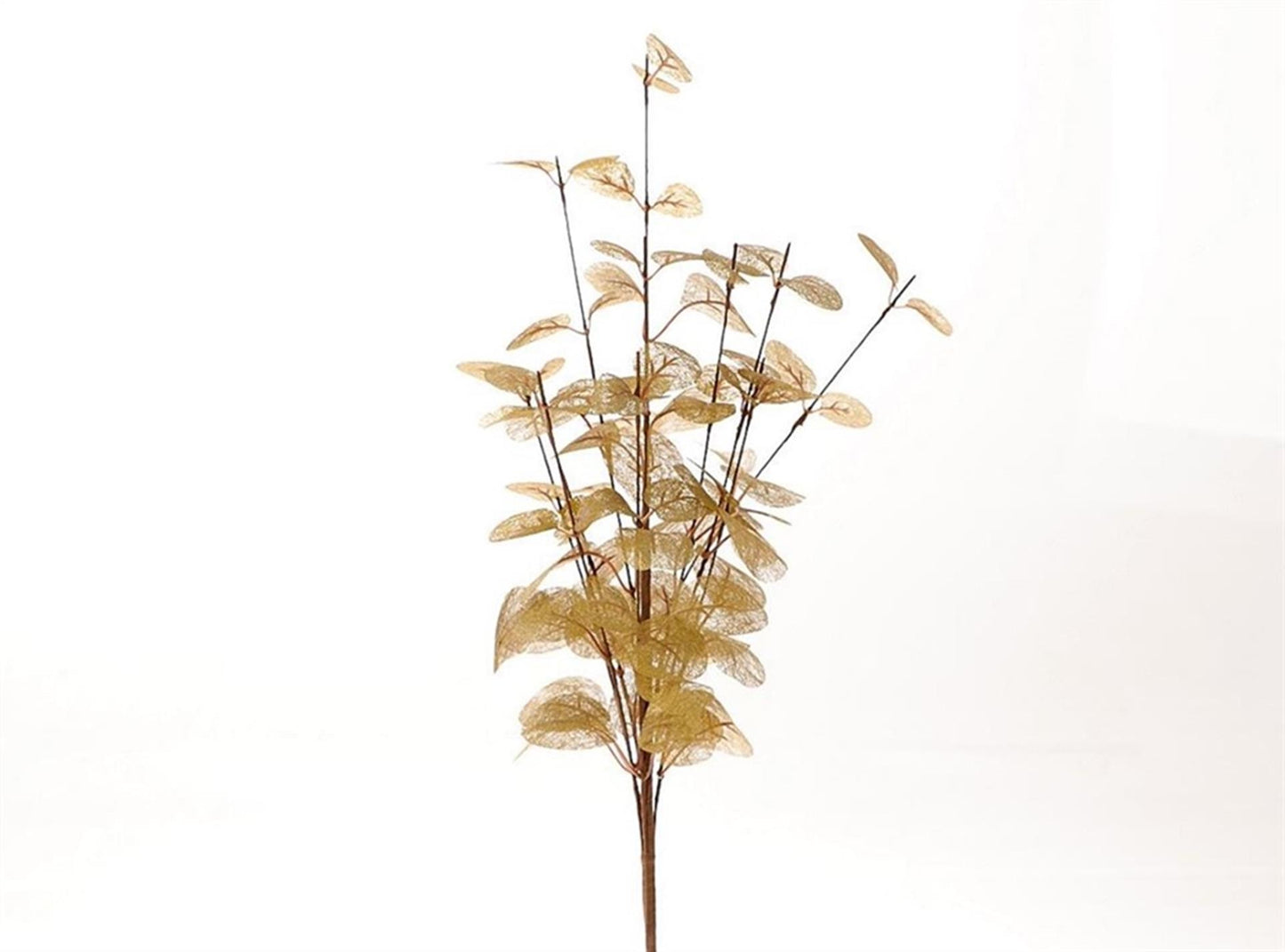 Hbx Natural Living Kunstzweig Euca Cinerea 40x25cm Gold