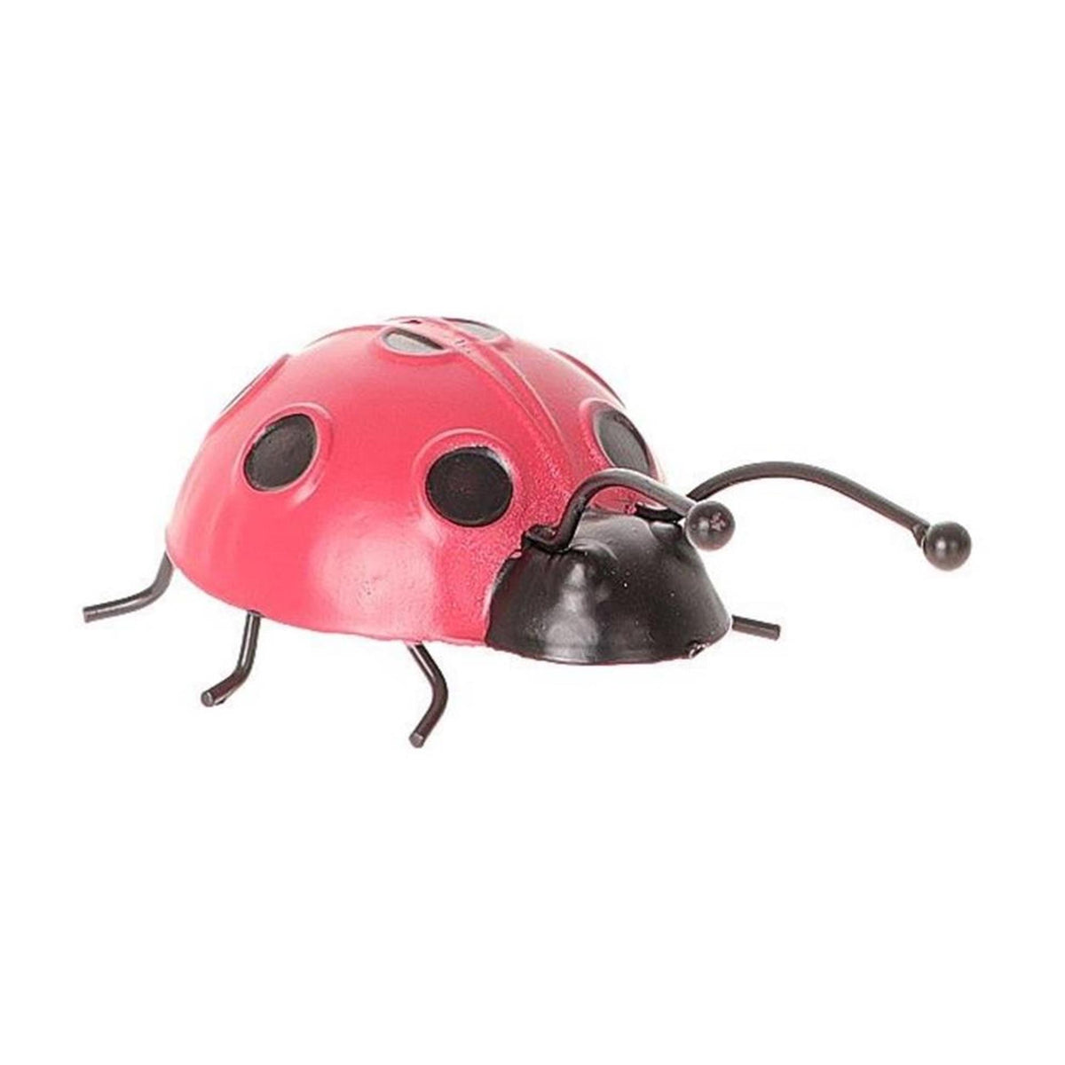 Hbx natürliche lebende Wanddeko Marienkäfer 14x8,5xh4cm rot