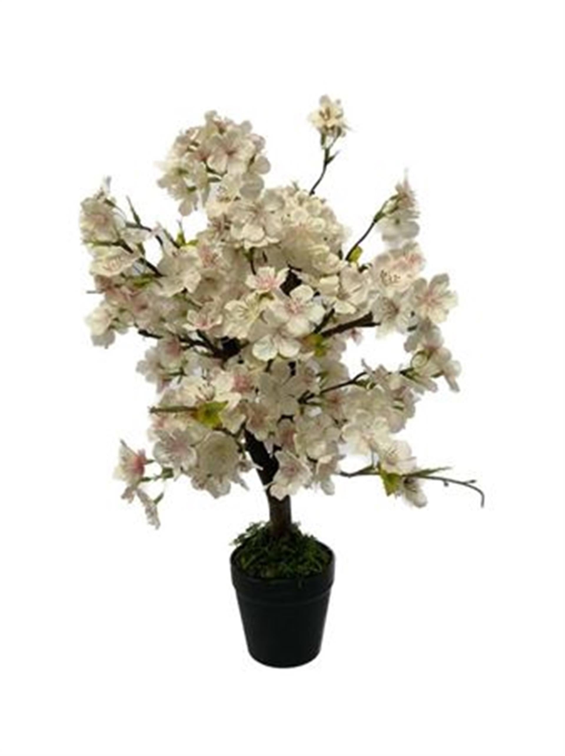 HBx natürliche lebende Kunstpflanze Kirschbaum 40 cm