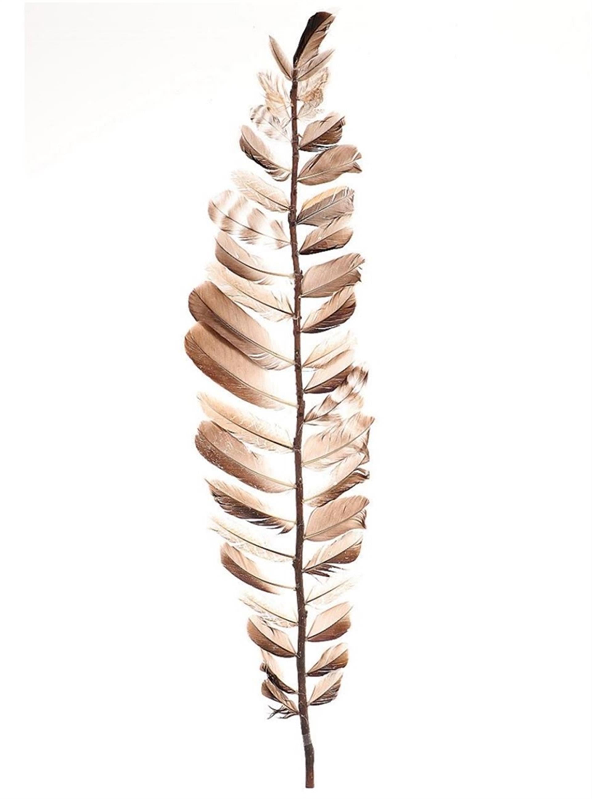 HBx natürliche Wohndeko-Zweigfedern 60 cm