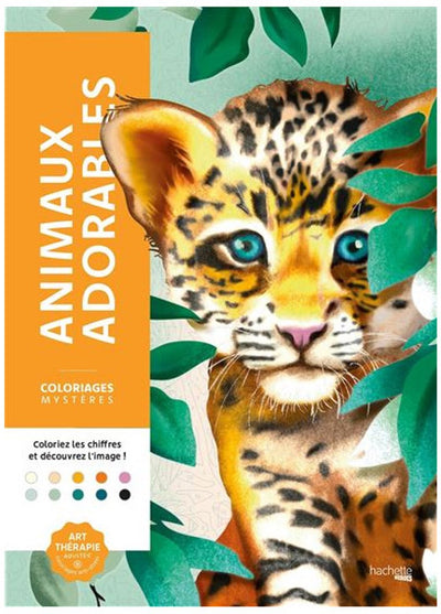 Hachette-Helden – Mystery Coloring – Tiere – 50 Illustrationen