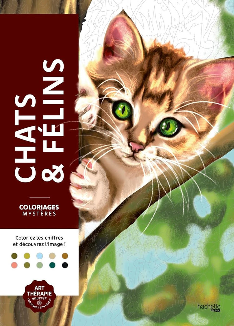 Hachette Heroes Coloriages Mystères – Chats Félins – Malbuch zum Malen nach Zahlen für Erwachsene und Kinder
