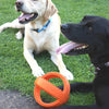 Happy Pet Grubber Interactive Football Orange