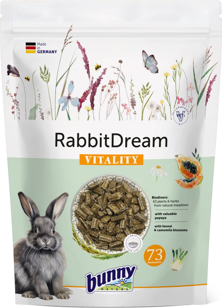 Bunny Nature Rabbit Dream Vitalität