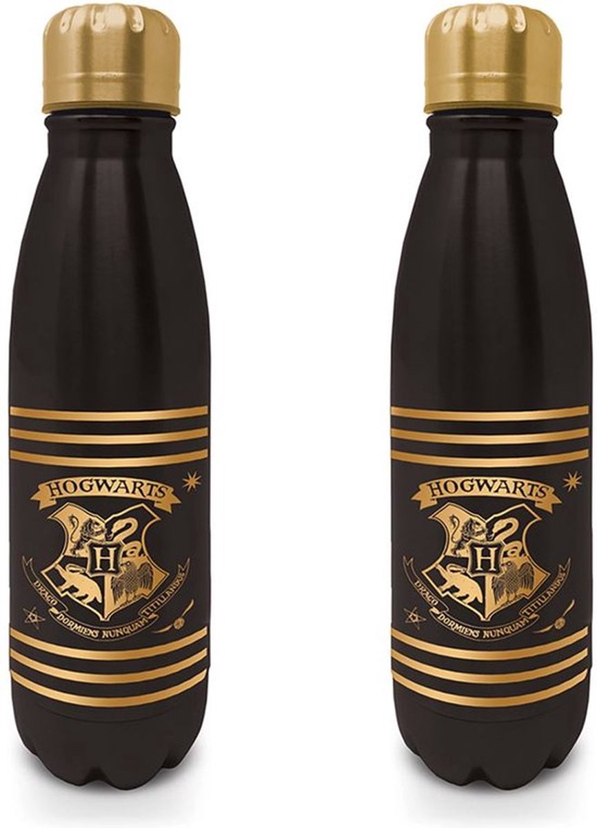Harry Potter – Trinkflasche aus Metall