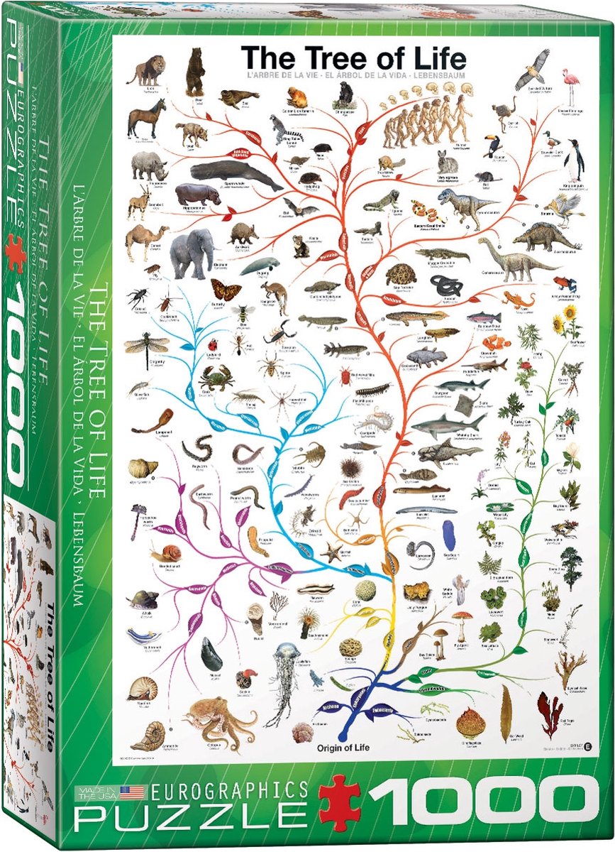 Eurographics – Der Baum des Lebens – Evolutionsdiagramm – 1000 Teile 48×68cm (B×H) – Puzzle