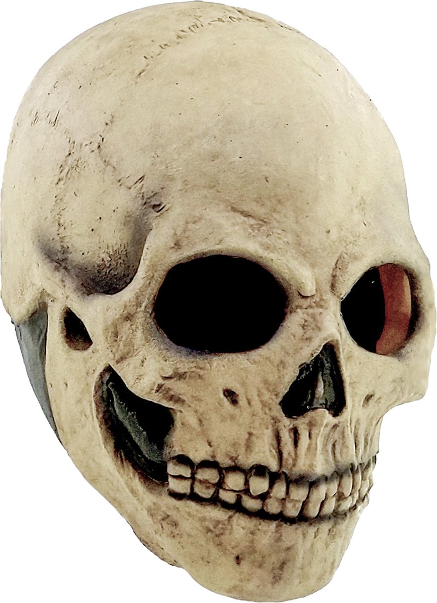 Vegaoo Halloween-Totenkopfmaske für Erwachsene – Kostümmaske – Einheitsgröße