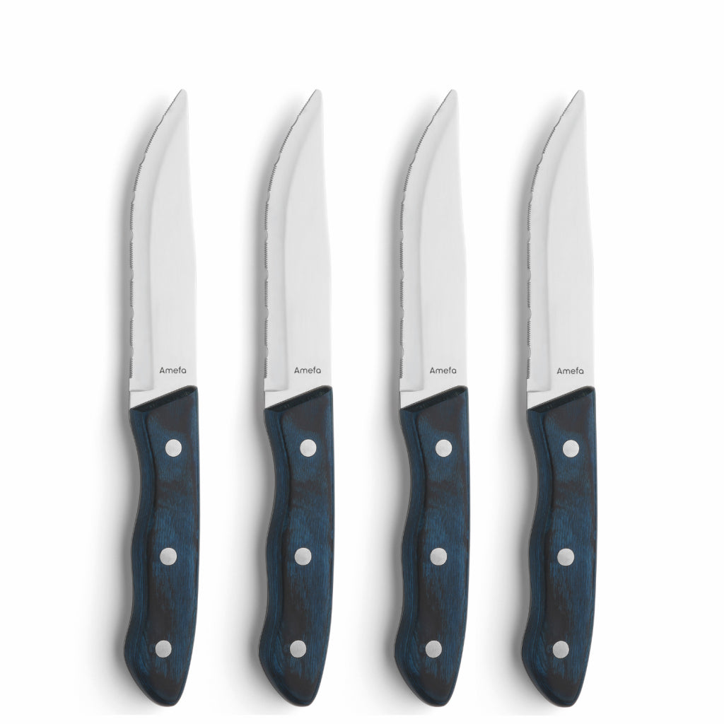 AMEFA AMEFA Steakmesser Hercule 4 Stücke