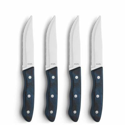 AMEFA AMEFA Steakmesser Hercule 4 Stücke