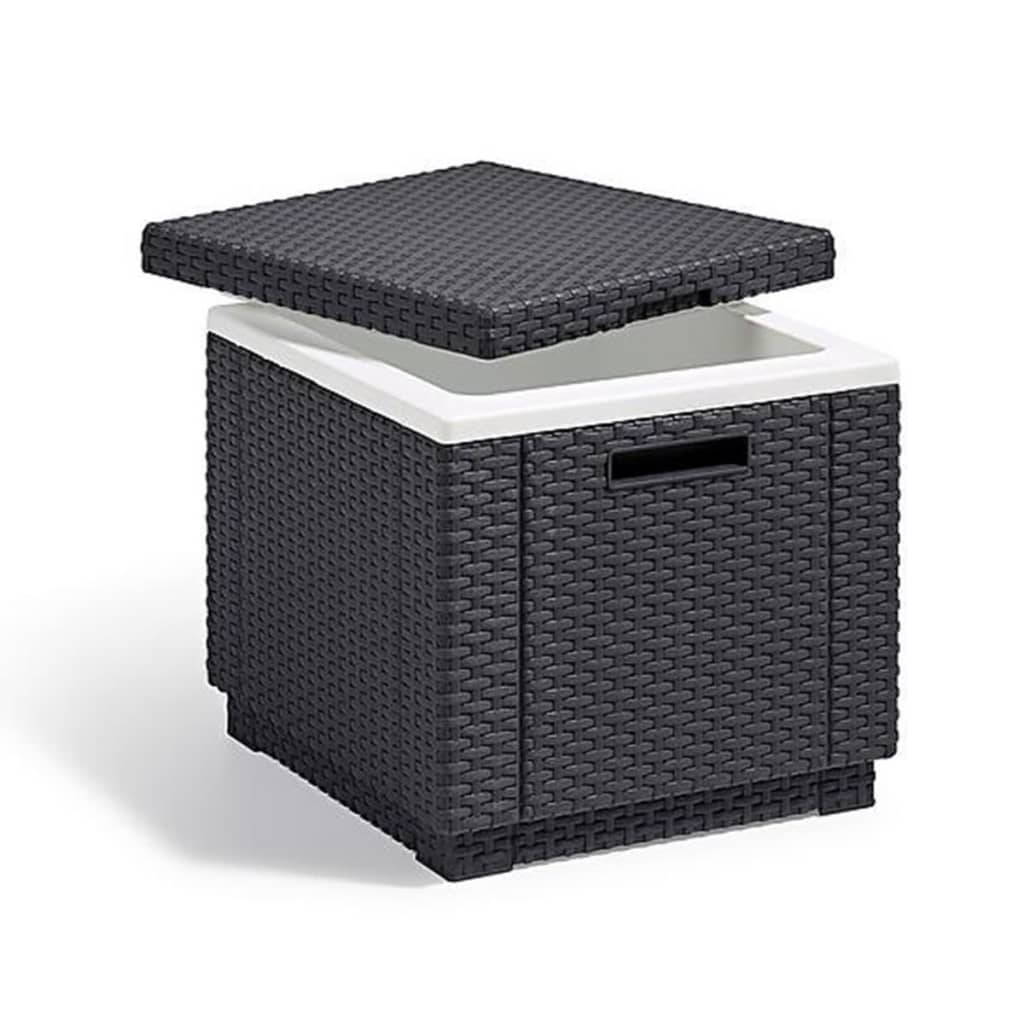 Keter Keter Cool Box Ice Cube Graphit gefärbt