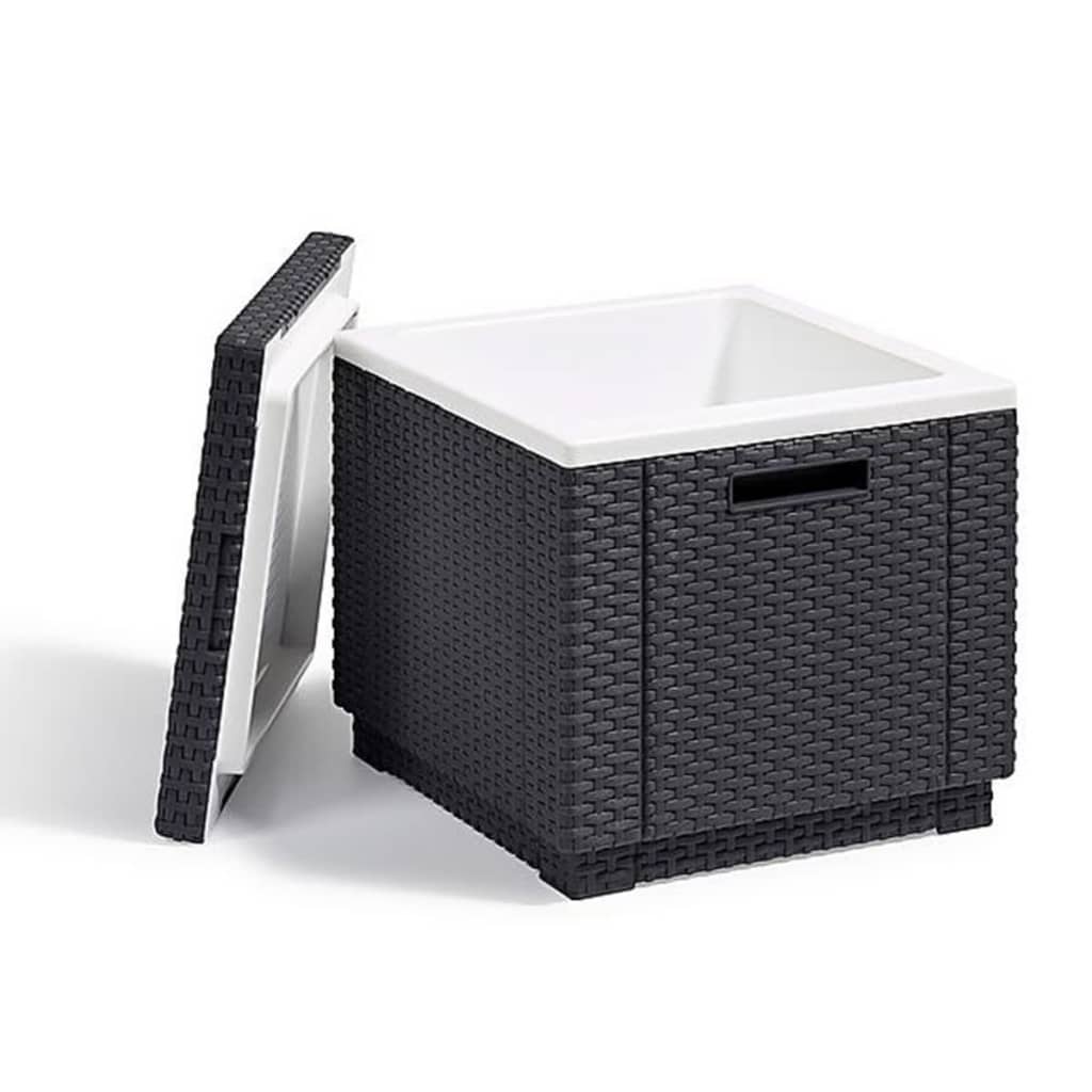 Keter Keter Cool Box Ice Cube Graphit gefärbt