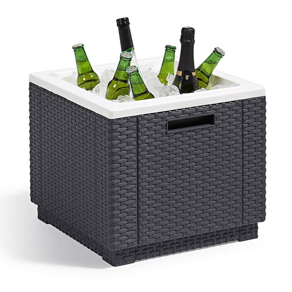 Keter Keter Cool Box Ice Cube Graphit gefärbt