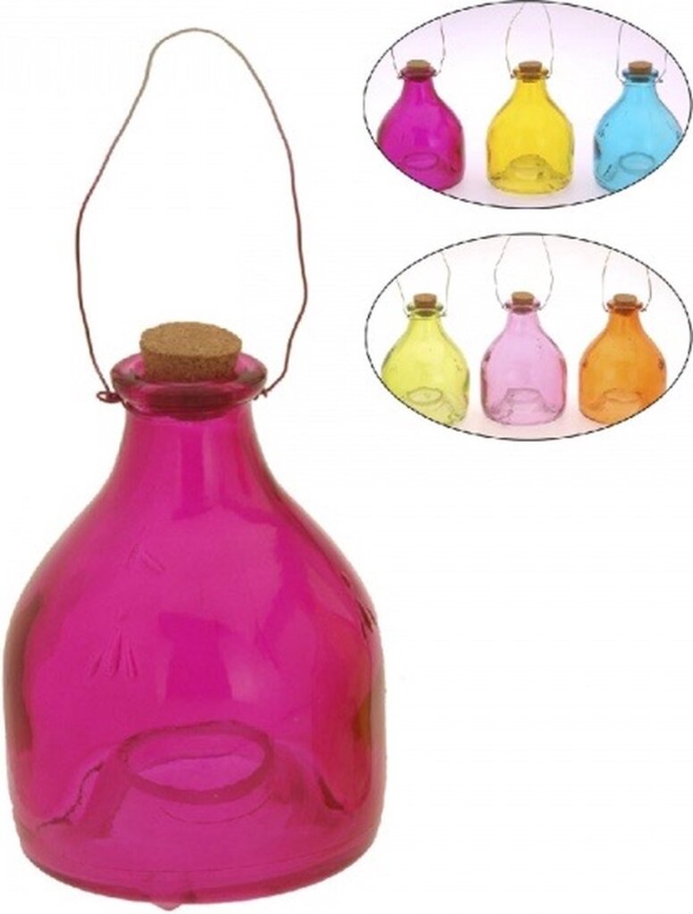 Verschiedenes Wespen -Trap -Glas 13x9cm 6 verschiedene Farben