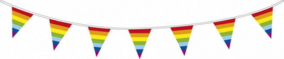 Haza Witbaard Flag -Linie Regenbogen, 10mtr.