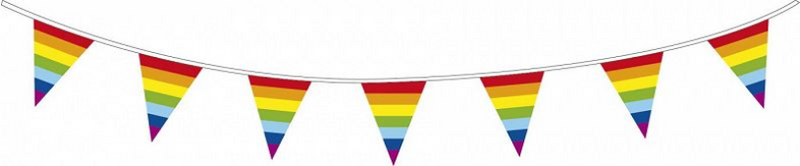 Haza Witbaard Flag -Linie Regenbogen, 10mtr.