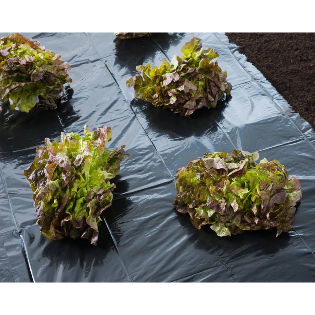 Natur Naturschutzfolie 3x4 m 150 u schwarz