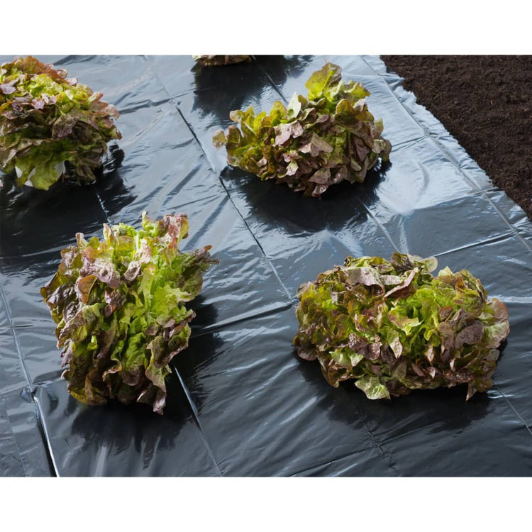 Nature Naturschutzfilm 4x6 m 150 u Schwarz