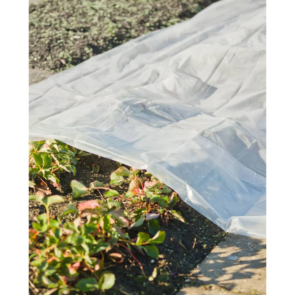Nature Nature Planthoes 4x6 m 200 µ transparent