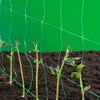 Natur Nature Klimnet für Pflanzen Grün 2x5 M 6030430