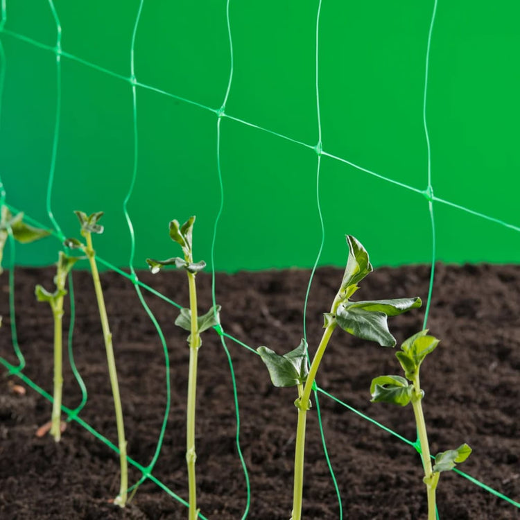 Natur Nature Klimnet für Pflanzen Grün 2x5 M 6030430