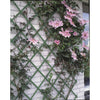 Nature Nature Plant Climbing Rack 100x200 cm PVC Grün 6040704