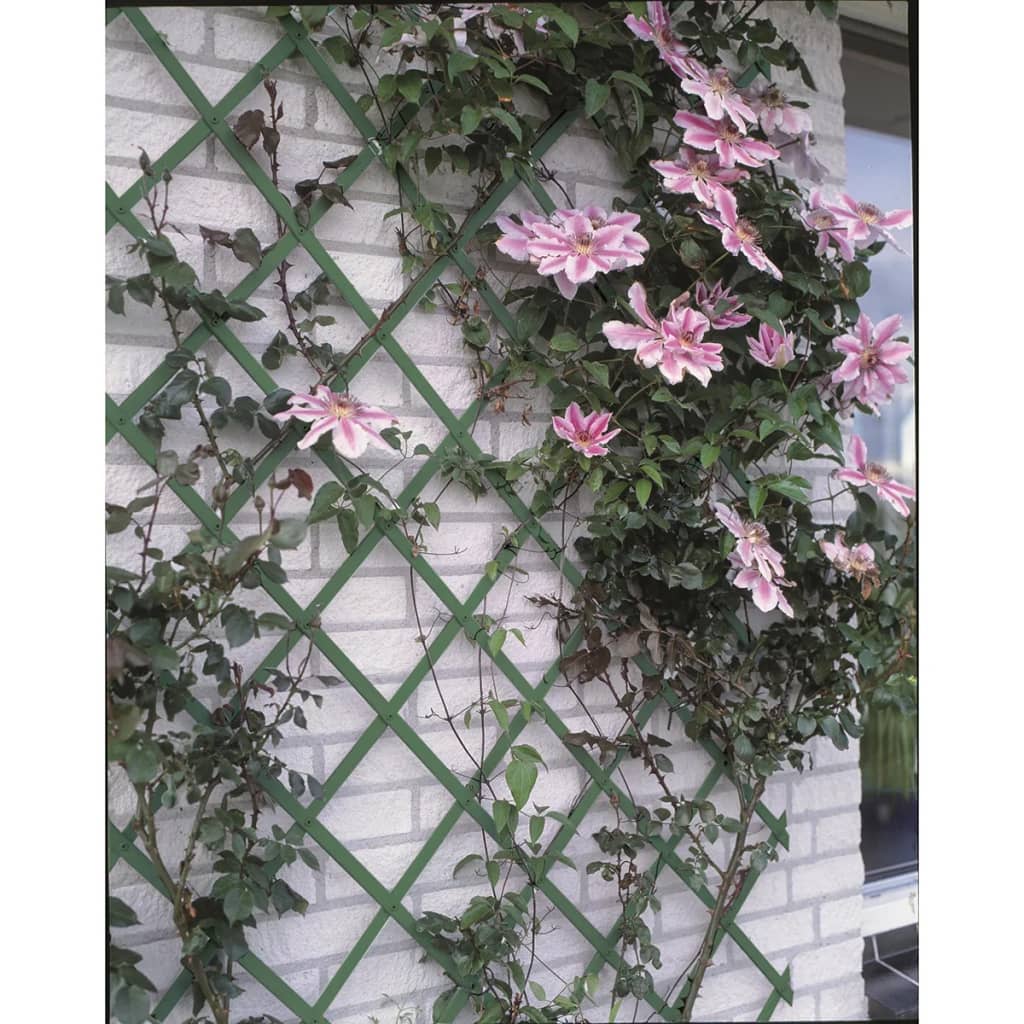 Nature Nature Plant Climbing Rack 100x200 cm PVC Grün 6040704