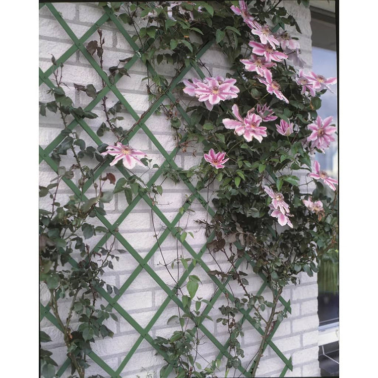 Nature Nature Plant Climbing Rack 100x200 cm PVC Grün 6040704