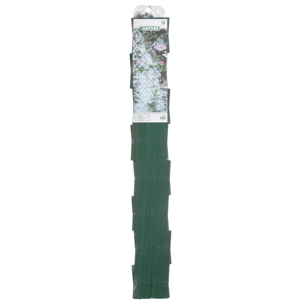 Nature Nature Plant Climbing Rack 100x200 cm PVC Grün 6040704