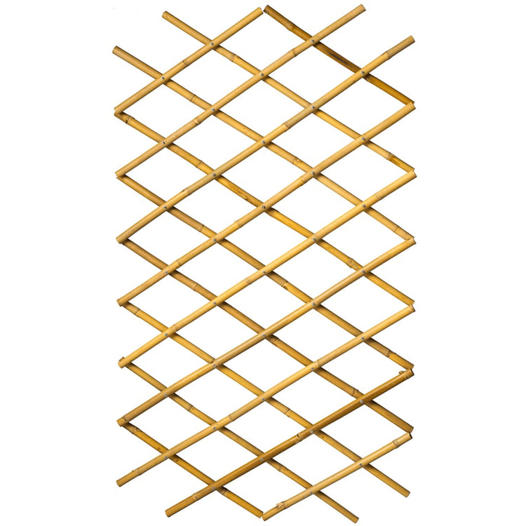 Nature Nature Latwerk für Garten 100x200 cm Bambus 6040722