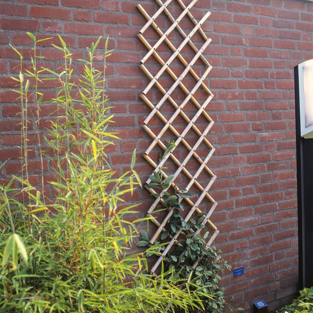 Nature Nature Latwerk für Garten 100x200 cm Bambus 6040722