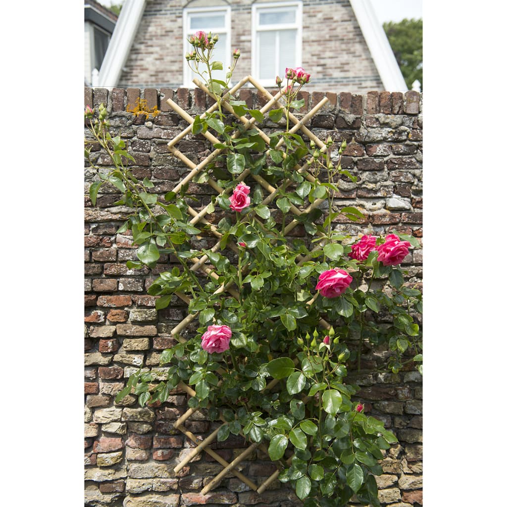 Nature Nature Latwerk für Garten 100x200 cm Bambus 6040722
