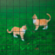 Natur Natur Gaas Quadrat 25 mm 1x2,5 mm plastisch beschichtetes Stahlgrün - afbeelding 1