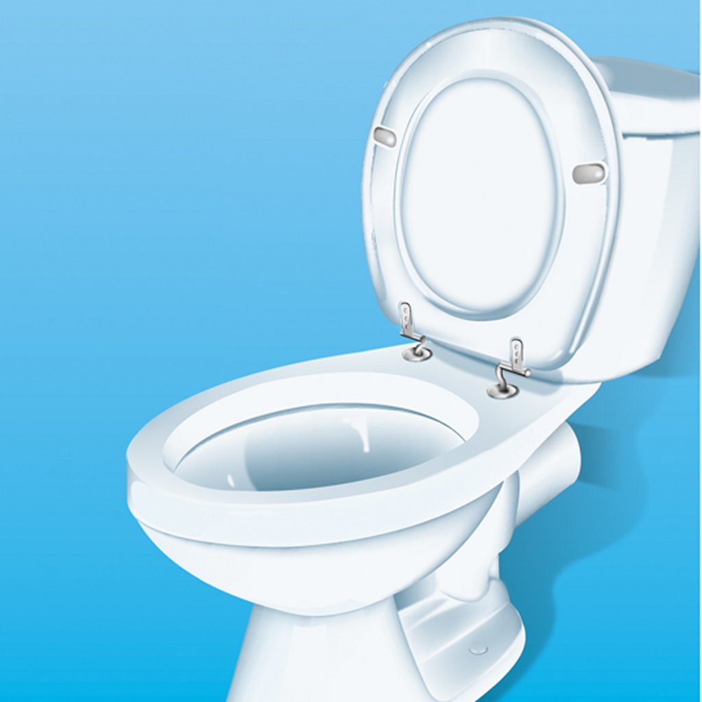 Hg Hg gegen Toilettenhimmel + andere böse Gerüche 0,4 l