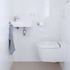 Hg Hg Eco Toilettenreiniger 500 ml
