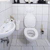 Hg Hg Eco Toilettenreiniger 500 ml