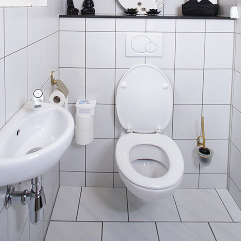 Hg Hg Eco Toilettenreiniger 500 ml