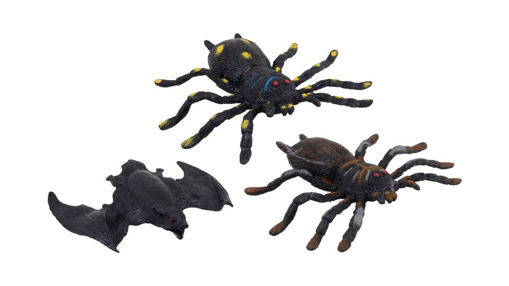 Tierwelt-Spinnen-Fledermaus-Strecke