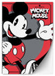 Mickey Mouse Set 2xa5 Notizbuch