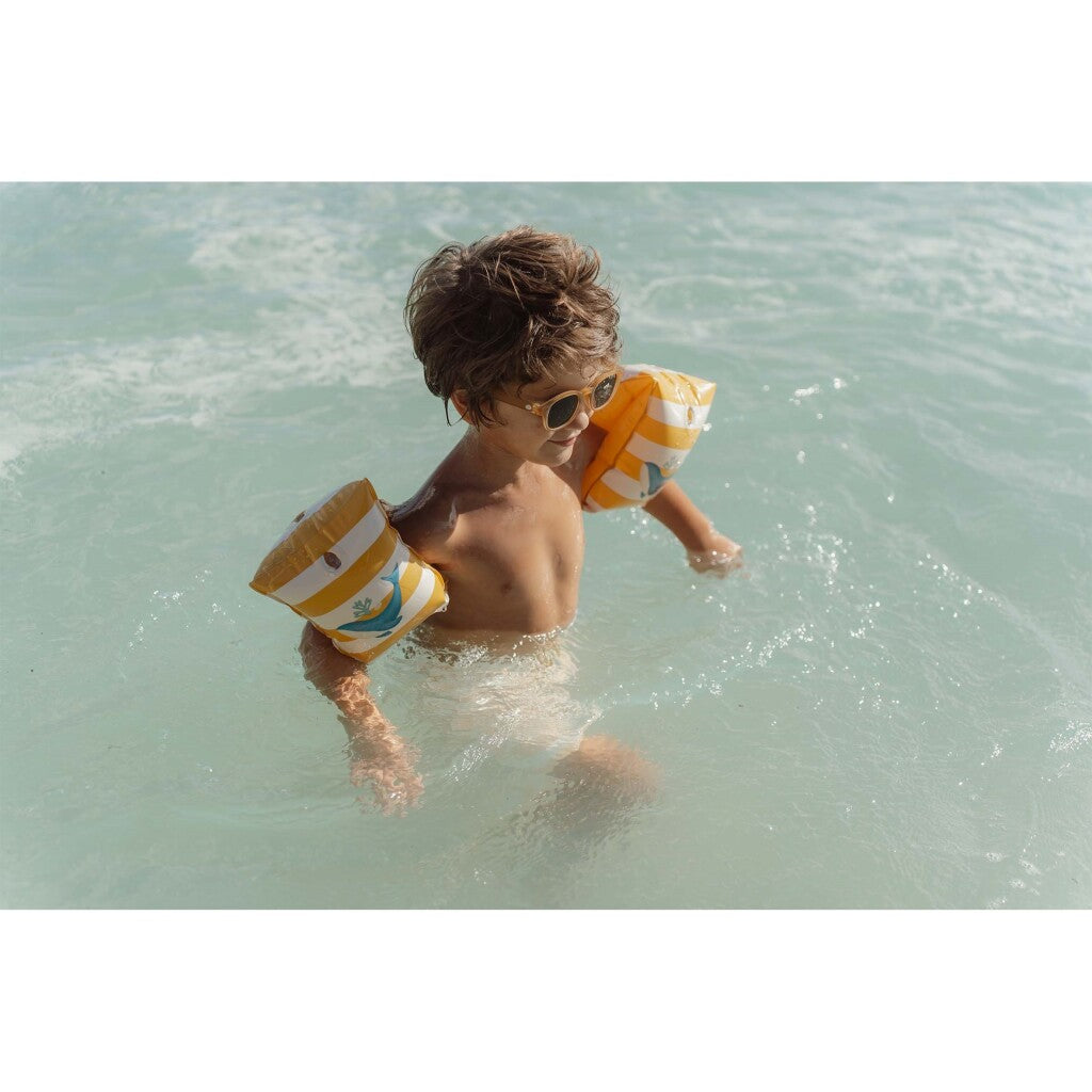 Kleine niederländische Ozeanträume Schwimbikes, 2-6 Jahre alt