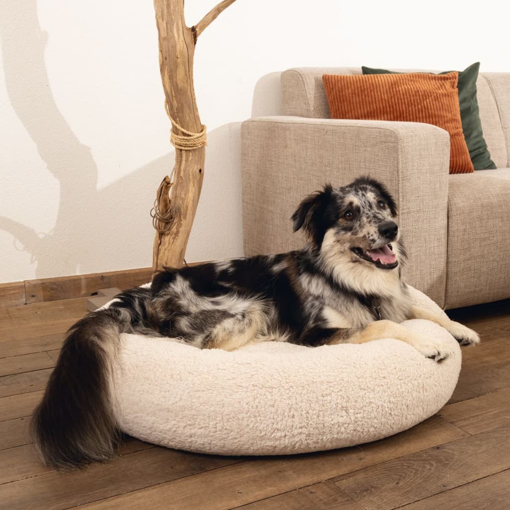 Beeztees Beeztees Hundkorb Jaxx Memory Foam 50x20 cm Beige