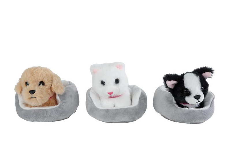 Nehmen Sie mich mit nach Hause umarmen Plüschhund oder Poes im Korb, 12 cm