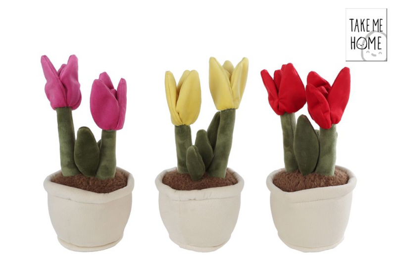 Nehmen Sie mich nach Hause Tulp Plant Kuschelplüsch, 27 cm