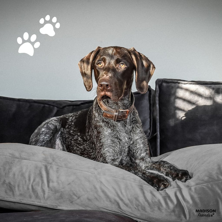 Madison Hundekissen Velvet 100x70x15 cm Grau