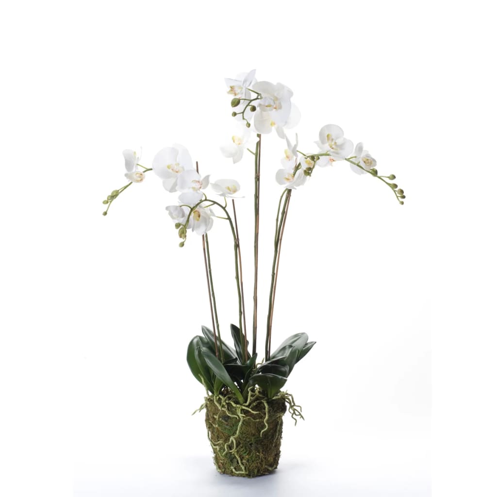 Emerald Emerald Art Plant Orchidee mit Moosweiß 90 cm 20.355